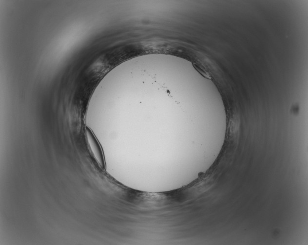 X0000116460429200912231405