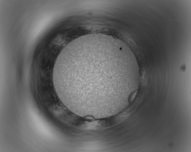 X0000116460430200912231405