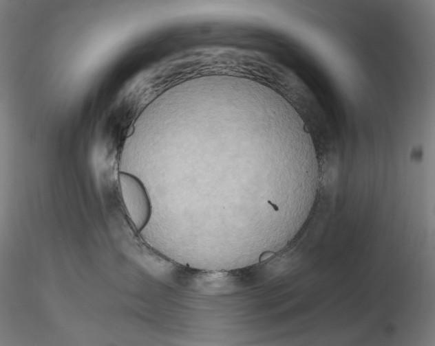 X0000116460431200912231405