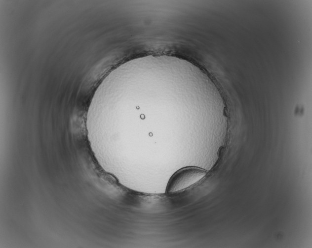 X0000116460432200912231405