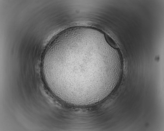 X0000116460434200912231404