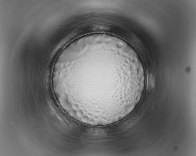 X0000116460435200912231404