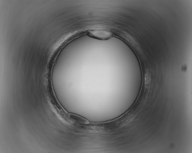 X0000116460436200912231404