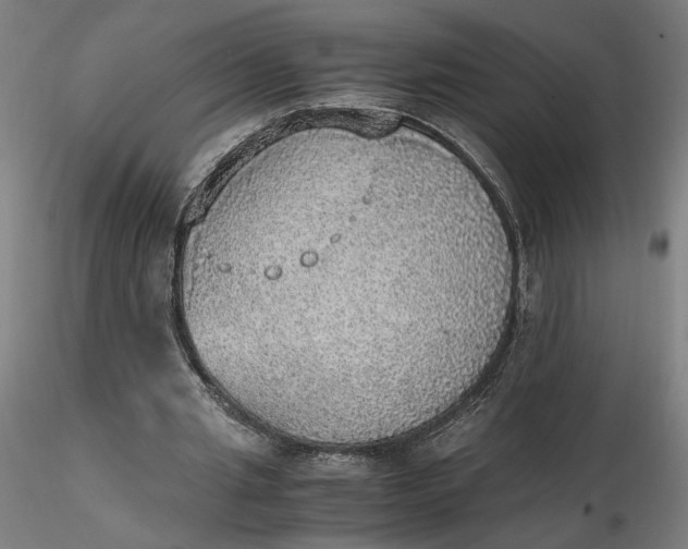 X0000116460437200912231404