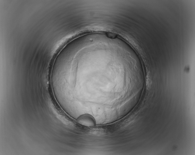 X0000116460438200912231404