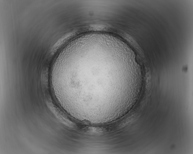 X0000116460442200912231404