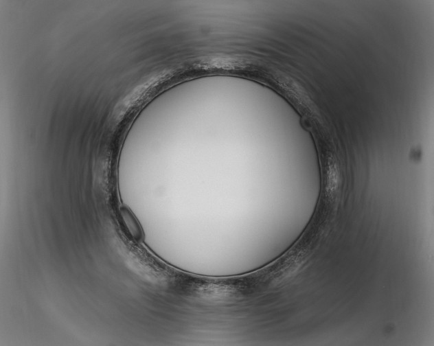 X0000116460444200912231404