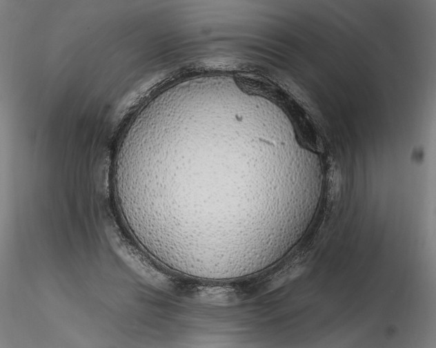 X0000116460446200912231404
