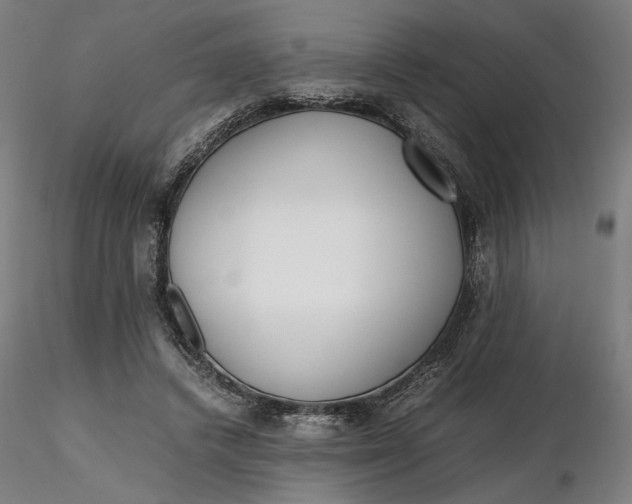 X0000116460448200912231404
