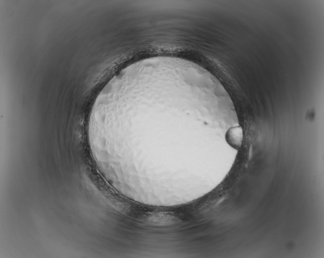 X0000116460451200912231404