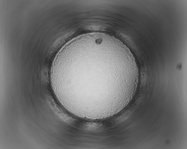 X0000116460453200912231404