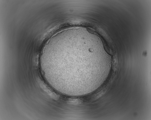 X0000116460454200912231404