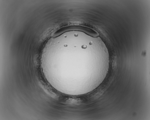 X0000116460455200912231404