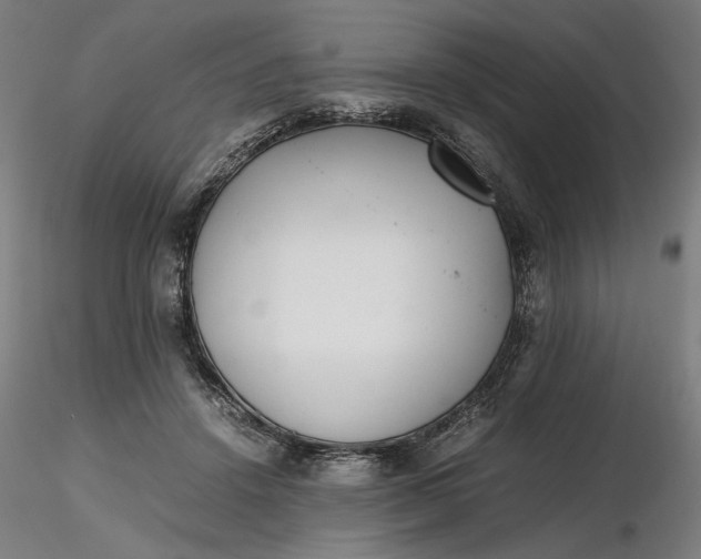 X0000116460456200912231404