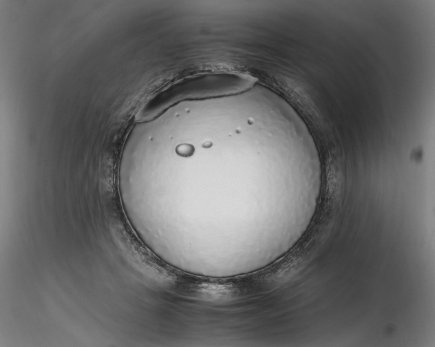 X0000116460457200912231404