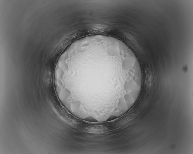 X0000116460459200912231404