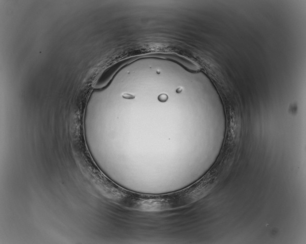 X0000116460461200912231404