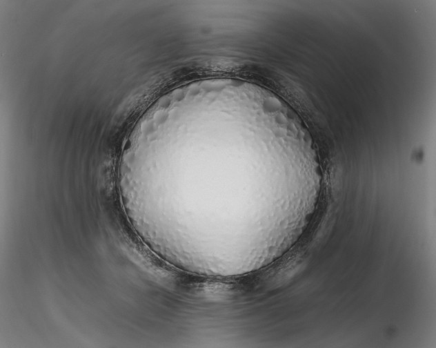 X0000116460462200912231404