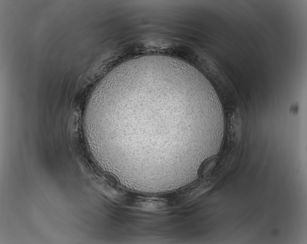 X0000116460463200912231404