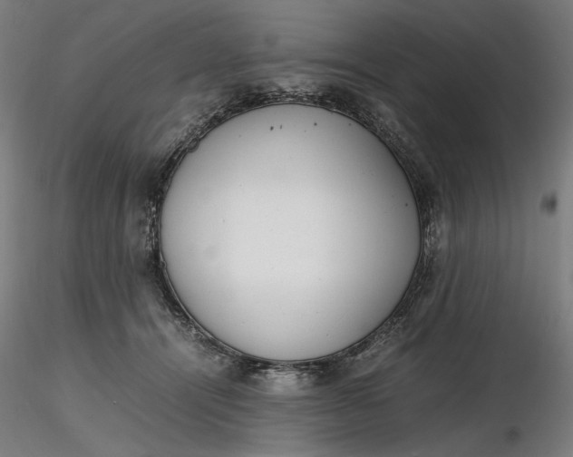 X0000116460464200912231404