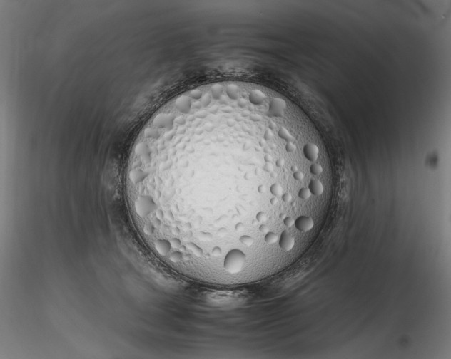 X0000116460465200912231404