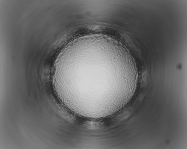 X0000116460466200912231404