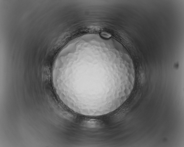 X0000116460467200912231404