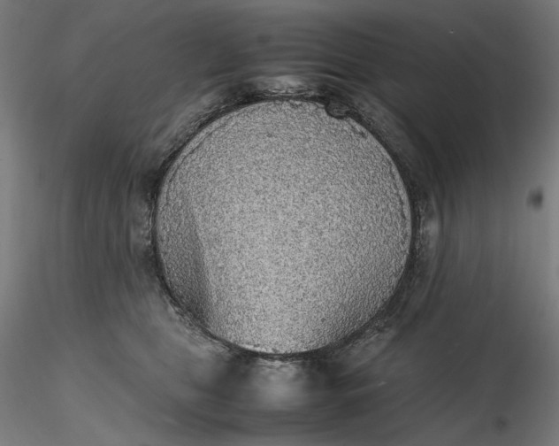 X0000116460469200912231404