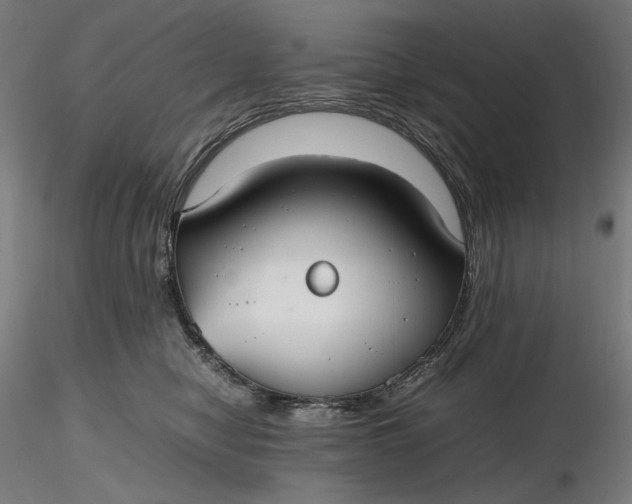 X0000116460470200912231404