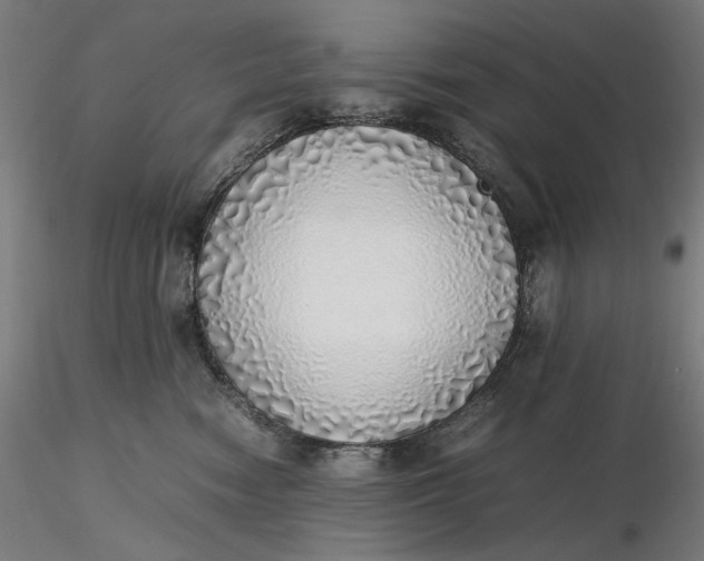 X0000116460474200912231405