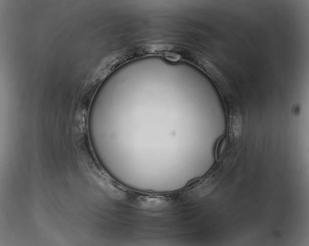 X0000116460475200912231405