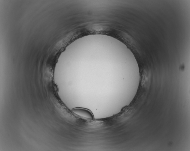 X0000116460476200912231405