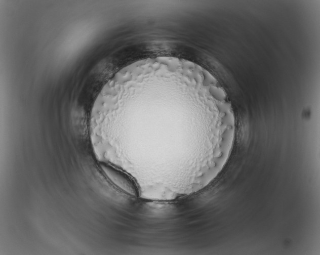 X0000116460477200912231405