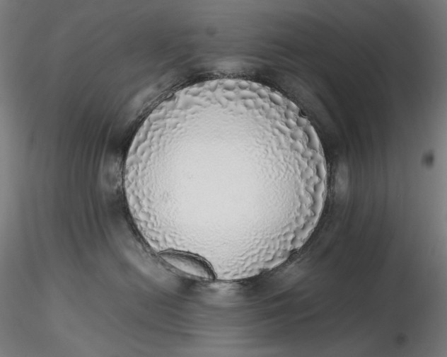 X0000116460478200912231405