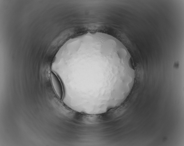 X0000116460479200912231405