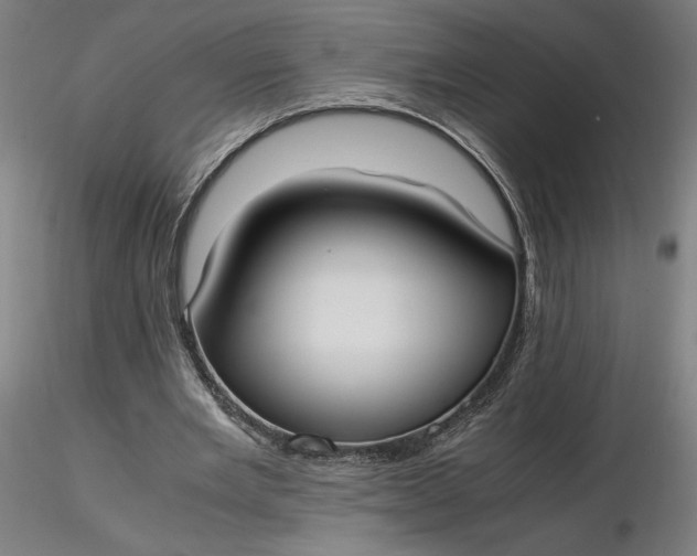 X0000116460485200912231404