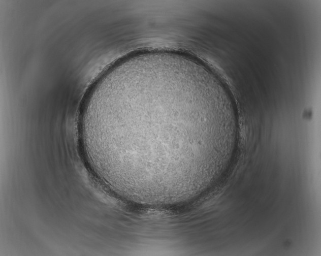 X0000116460487200912231404