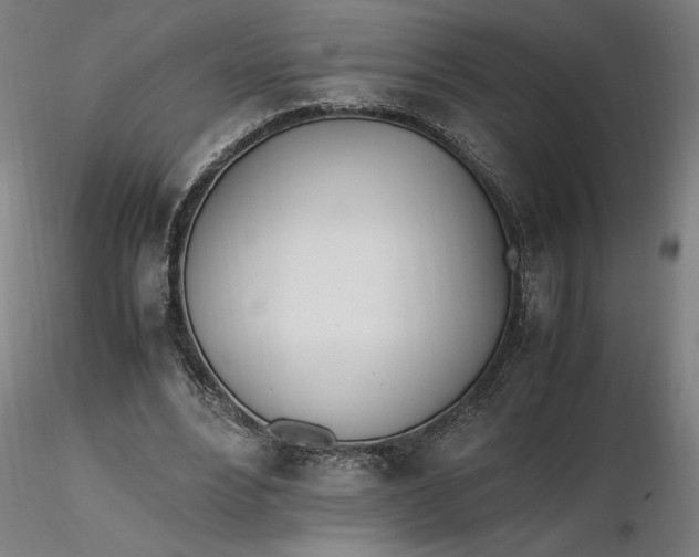 X0000116460488200912231404