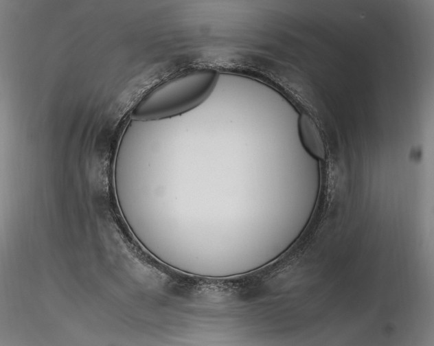 X0000116460489200912231404