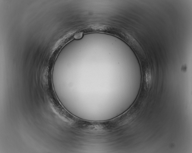 X0000116460492200912231404