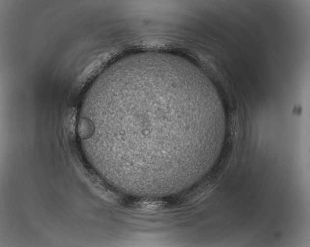 X0000116460495200912231404