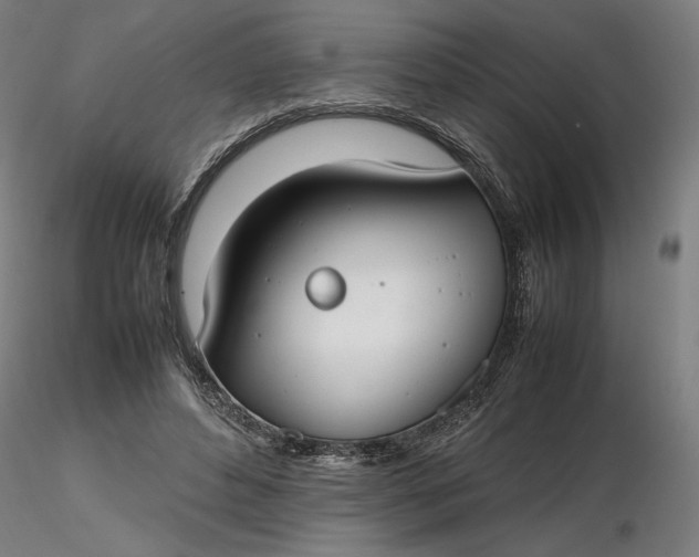 X0000116460496200912231404