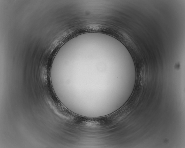 X0000116460500200912231404