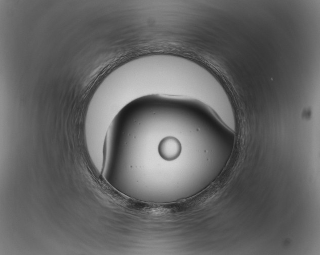 X0000116460501200912231404