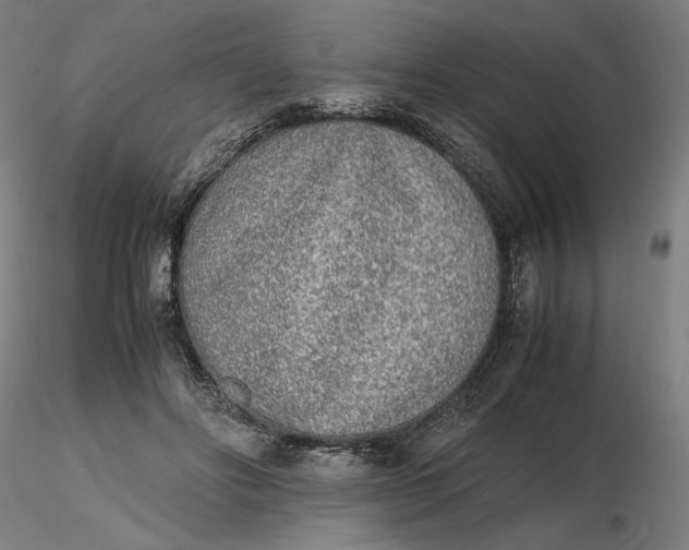 X0000116460502200912231404