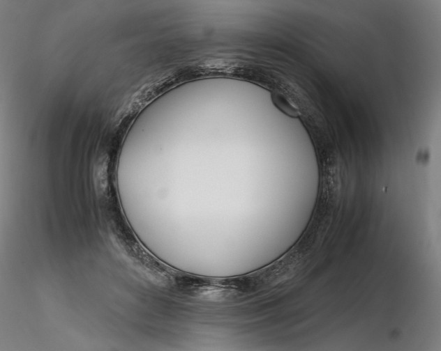 X0000116460504200912231404