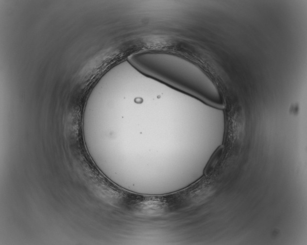 X0000116460505200912231404