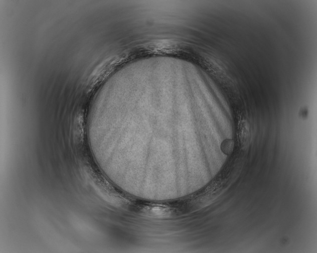 X0000116460506200912231404