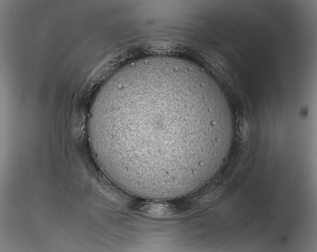 X0000116460507200912231404
