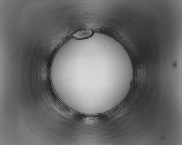 X0000116460508200912231404